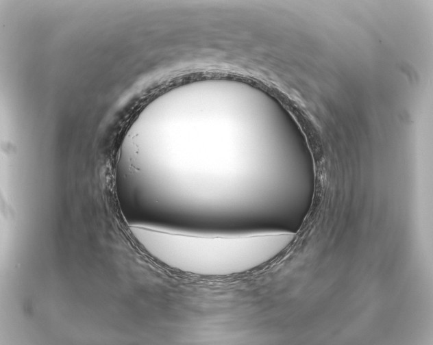 X0000091191495200708091013