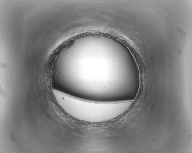 X0000091191496200708091013