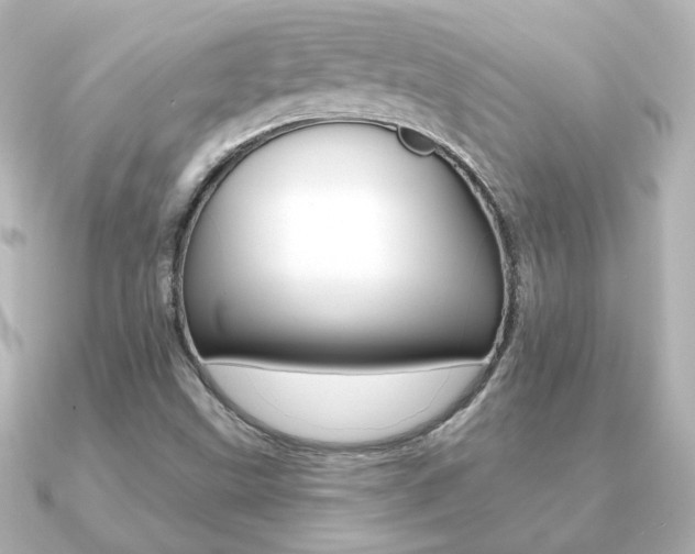 X0000091191499200708091013