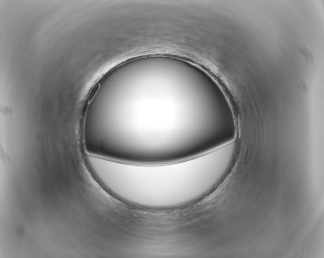 X0000091191500200708091013
