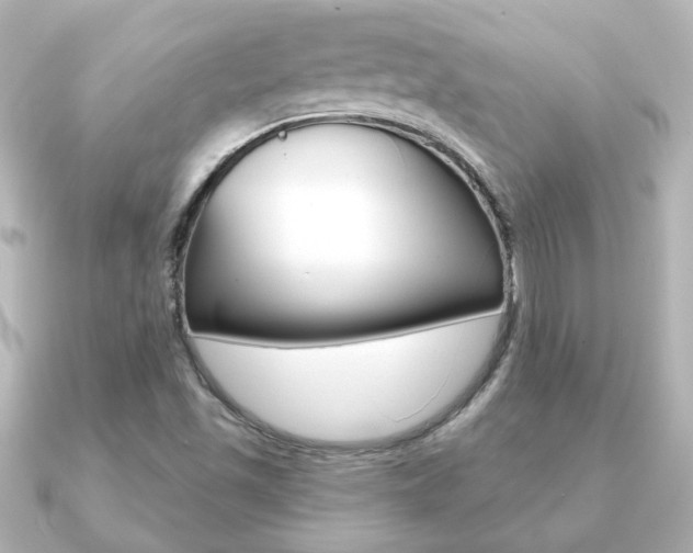 X0000091191501200708091013
