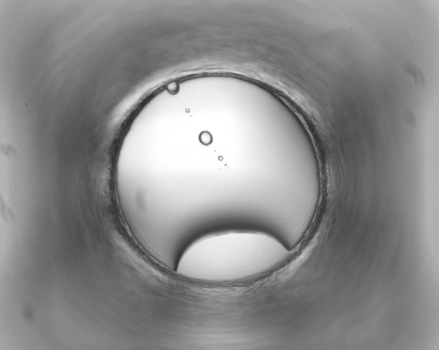 X0000091191502200708091013