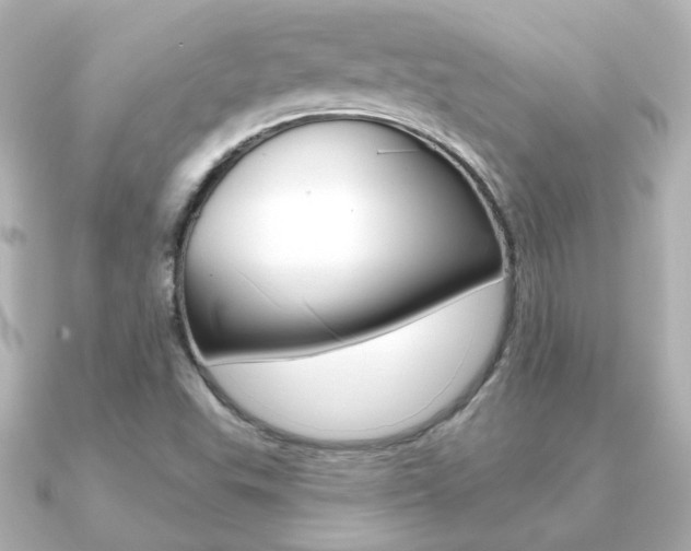 X0000091191503200708091013
