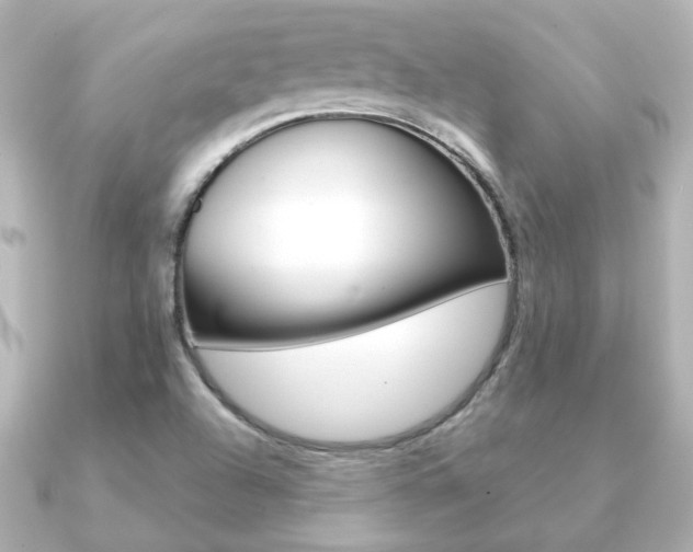 X0000091191504200708091013