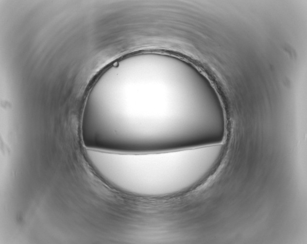 X0000091191505200708091013