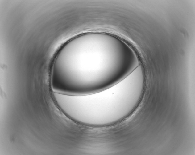 X0000091191506200708091013