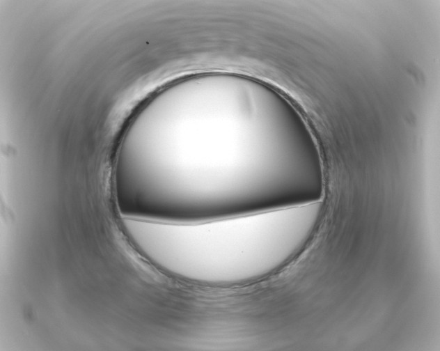 X0000091191507200708091013