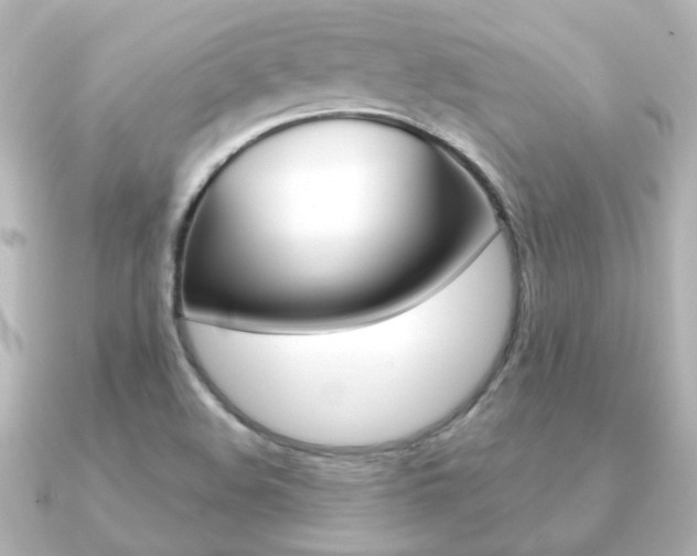 X0000091191508200708091013