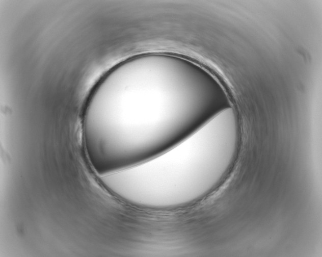 X0000091191509200708091013