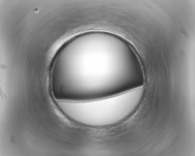 X0000091191511200708091013