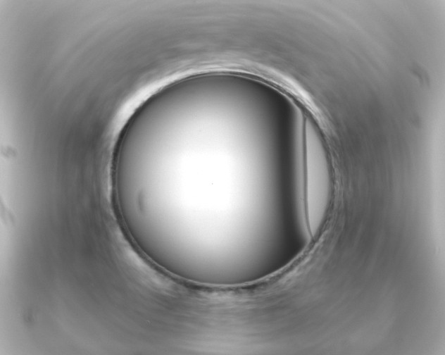 X0000091191512200708091013