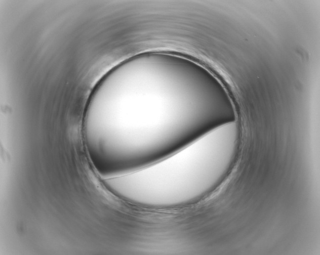 X0000091191513200708091013