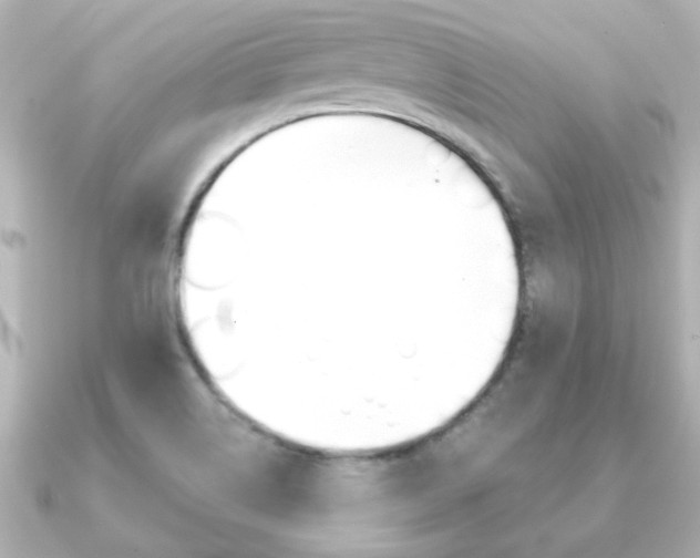 X0000091191514200708091013