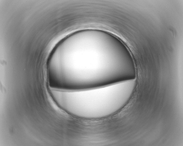 X0000091191515200708091013