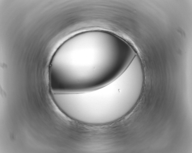 X0000091191516200708091013