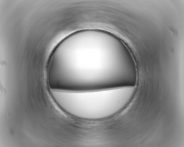 X0000091191517200708091013