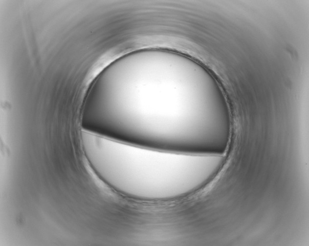 X0000091191521200708091013