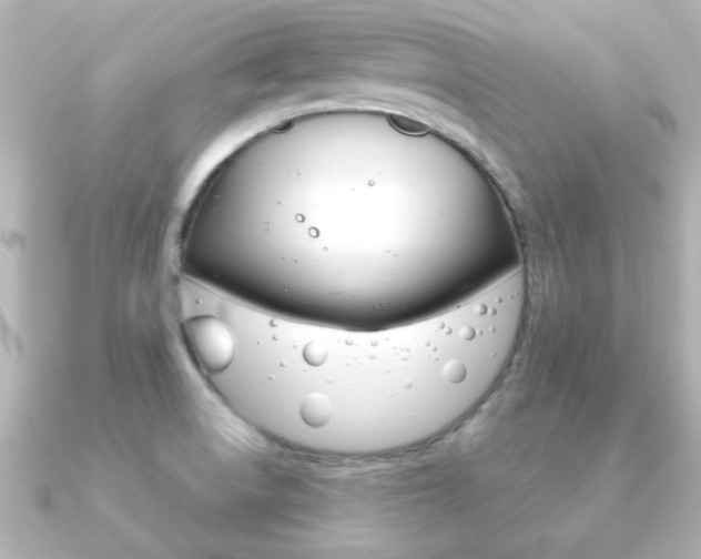 X0000091191522200708091013