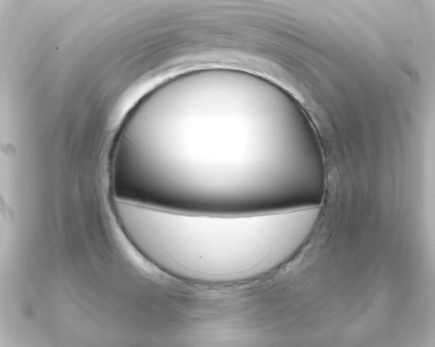 X0000091191523200708091013