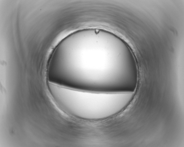X0000091191525200708091013