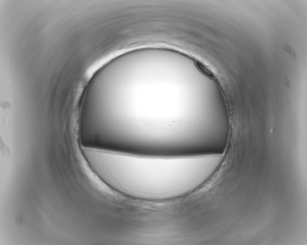 X0000091191526200708091013