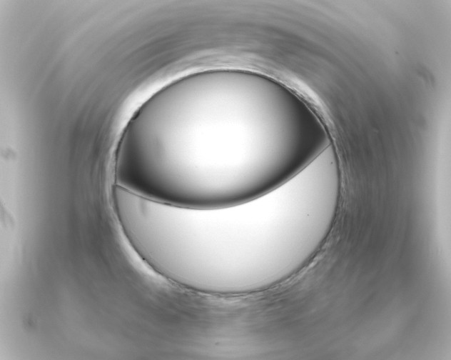 X0000091191528200708091013