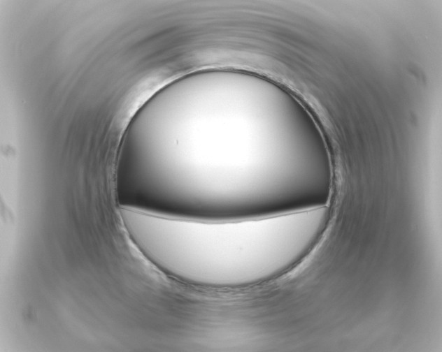 X0000091191529200708091013
