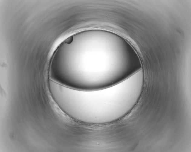 X0000091191530200708091013