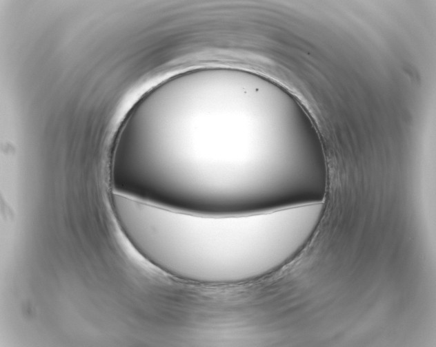 X0000091191531200708091013