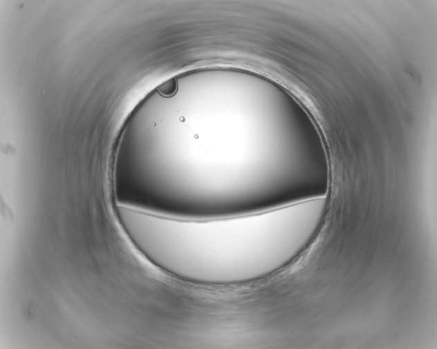 X0000091191533200708091013