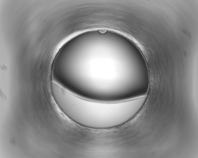 X0000091191534200708091013