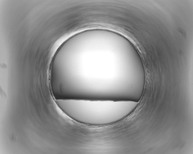 X0000091191535200708091013