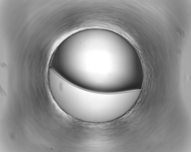 X0000091191536200708091013