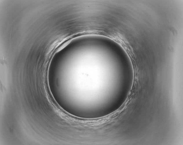 X0000091190001200708091257