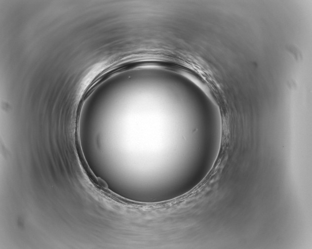 X0000091190003200708091257