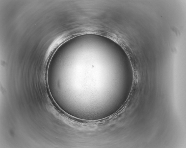X0000091190004200708091257
