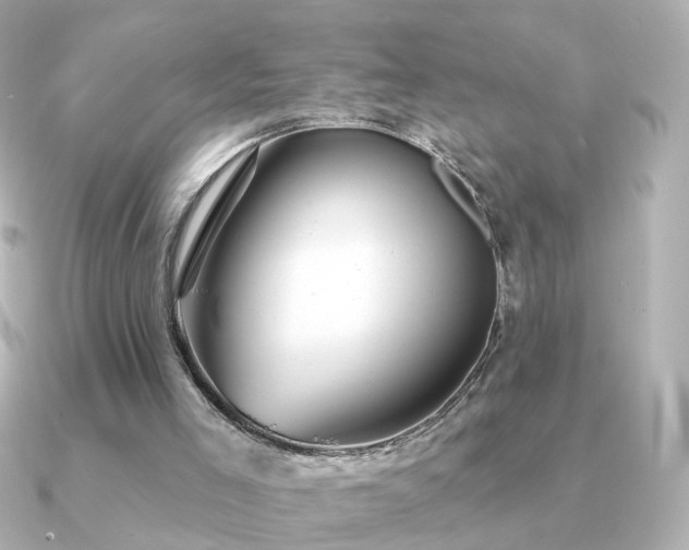 X0000091190005200708091257