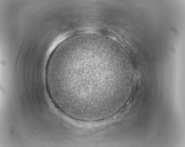 X0000091190006200708091257