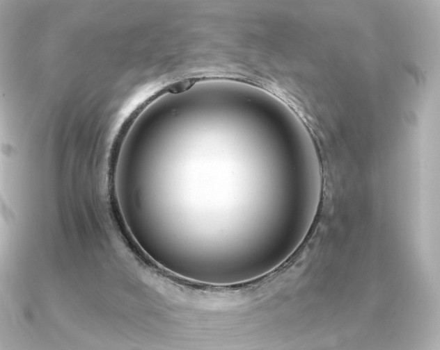 X0000091190008200708091257