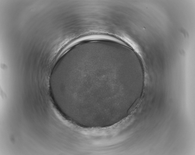 X0000091190009200708091257