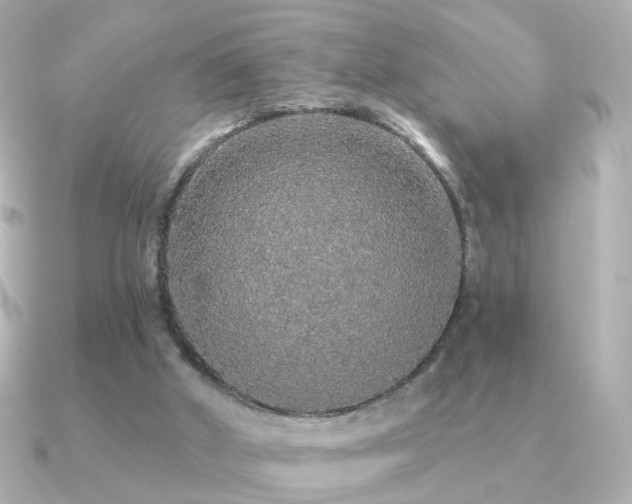X0000091190010200708091257