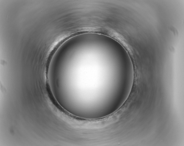X0000091190011200708091257