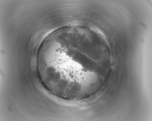 X0000091190012200708091257