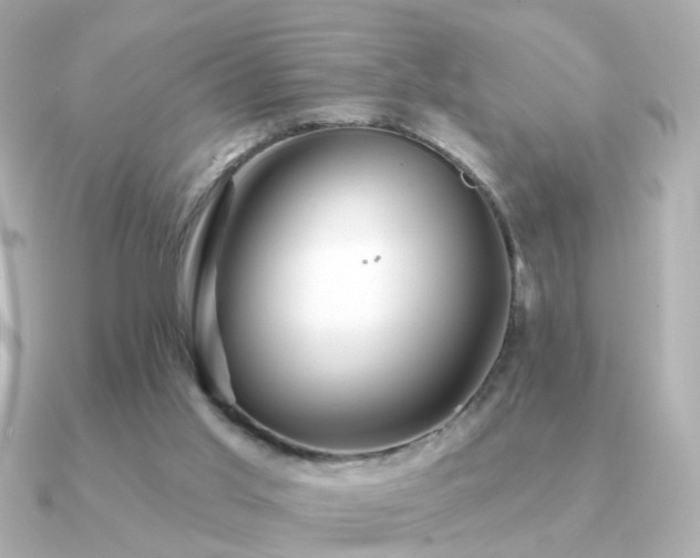 X0000091190013200708091257