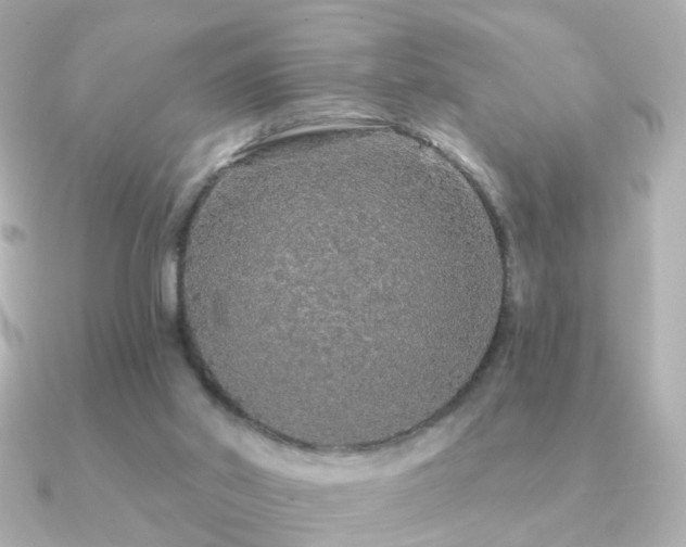 X0000091190014200708091257
