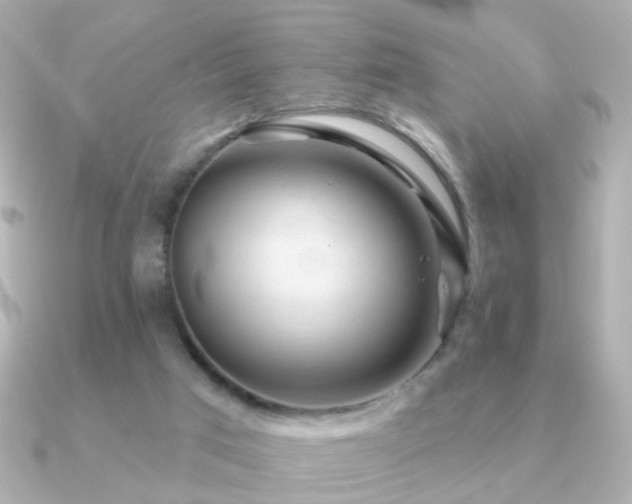 X0000091190017200708091257