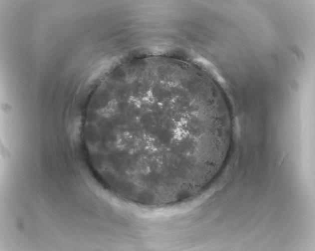 X0000091190018200708091257