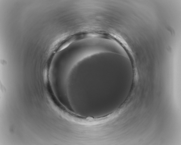 X0000091190019200708091257