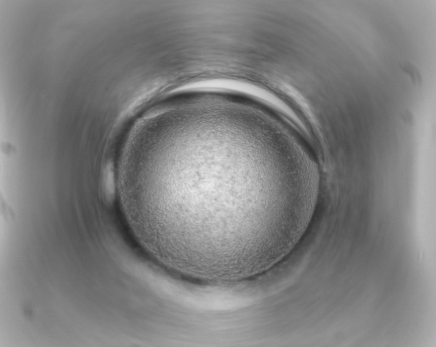X0000091190020200708091257