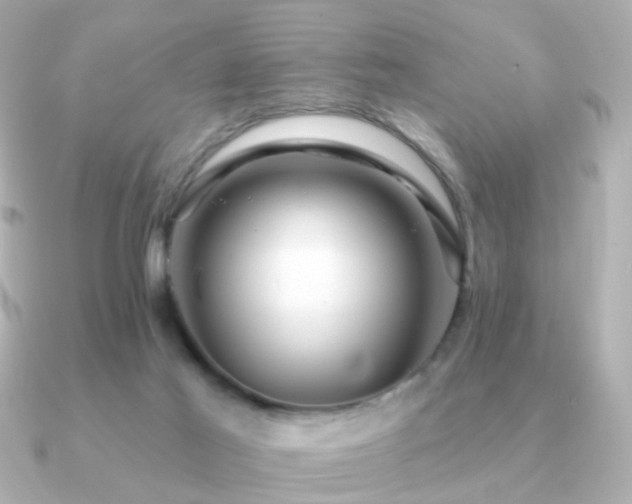 X0000091190021200708091257